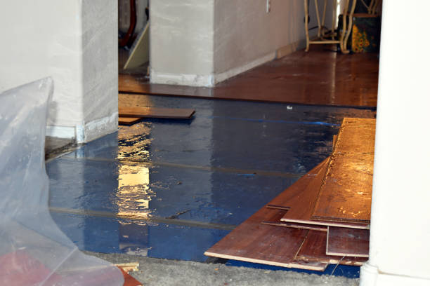 Professional Flood Damage Restoration technician working in Corrales, NM